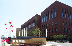 政策利好振翅高飛，天津七成軟企匯聚濱海新區(qū)領(lǐng)航軟件外包